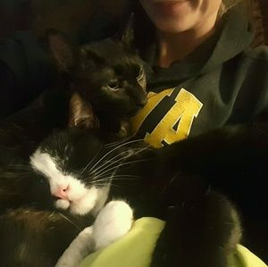 Meet your Posher, Beth